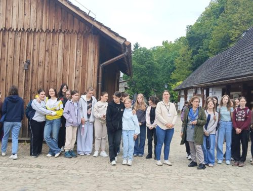 Wyczeka w Bieszczady