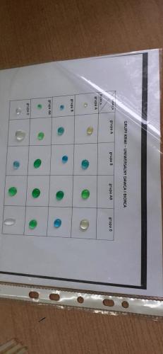 Zajęcia rozwijające w klasach 6