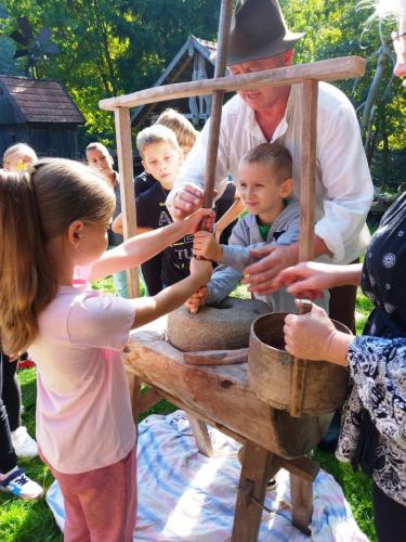 Gospodarstwo Agroturystycznego i Stajni Koni „Paryja” w Ołpinach