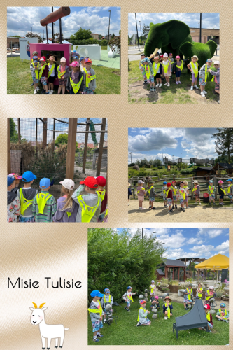 „Misie Tulisie” i „Liski” w Pacanowie