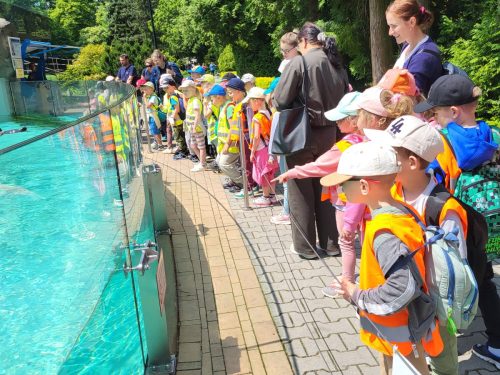 Przedszkolaki w krakowskim ZOO