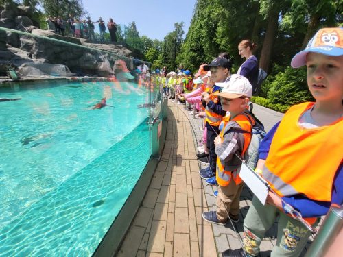 Przedszkolaki w krakowskim ZOO