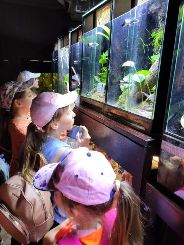 Przedszkolaki w krakowskim ZOO