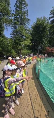 Przedszkolaki w krakowskim ZOO