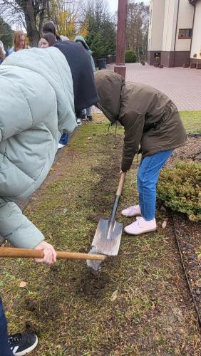 Projekt Krokus