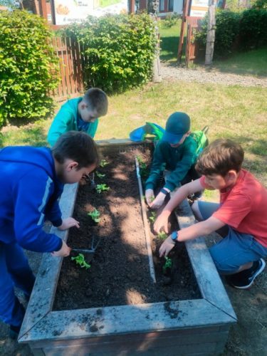 Wycieczka kl. 2ab oraz kl. 3b do ogrodu edukacyjnego w Rzuchowej